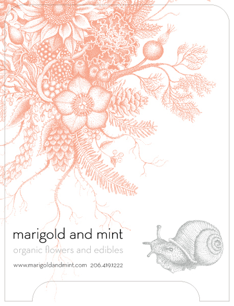 marigold and mint